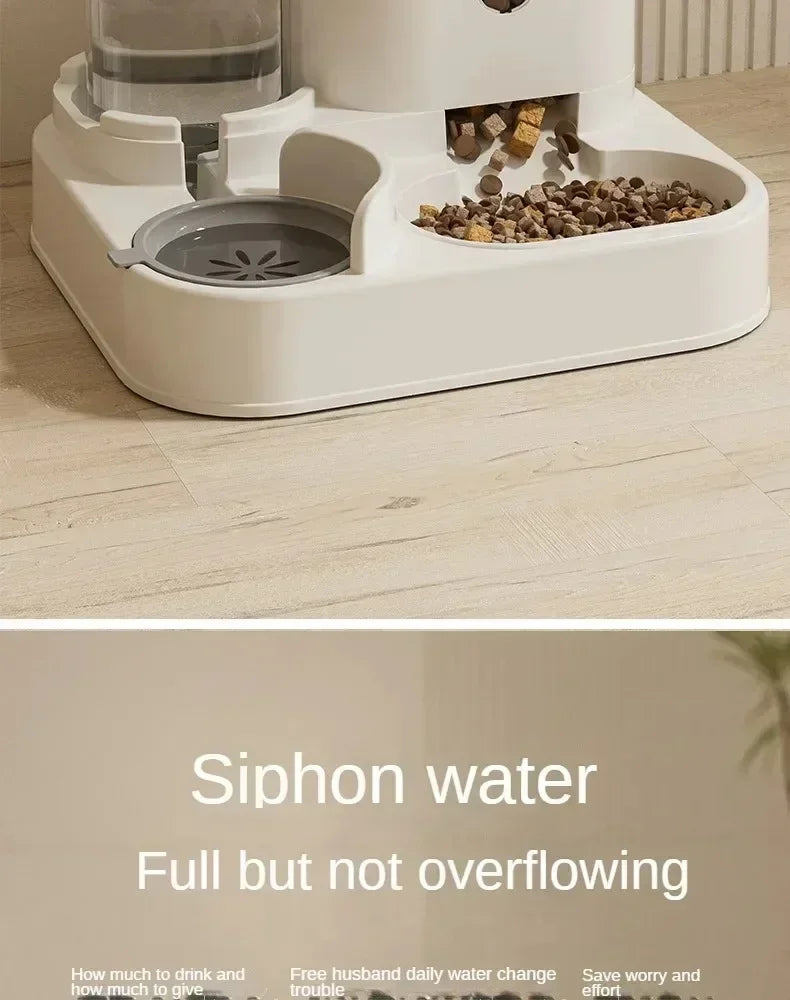 Automatic Feeder With Water Fountain